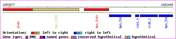 gene map