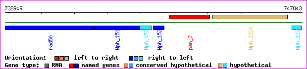 gene map