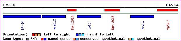 gene map