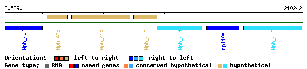 gene map