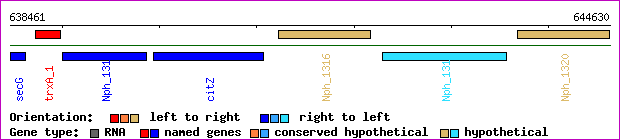gene map