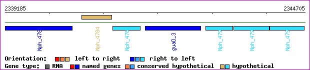 gene map