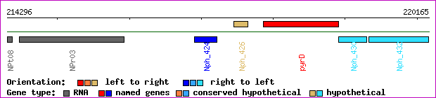 gene map