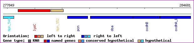 gene map