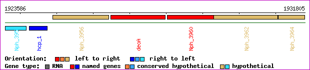 gene map