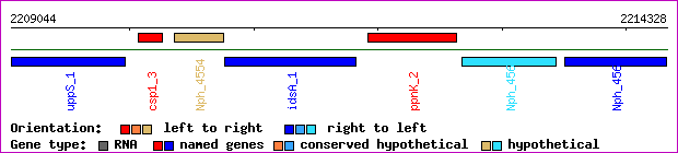 gene map