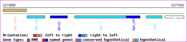 gene map