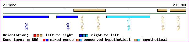 gene map