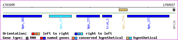 gene map