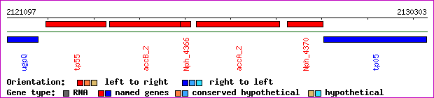 gene map