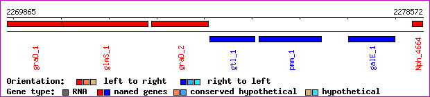 gene map