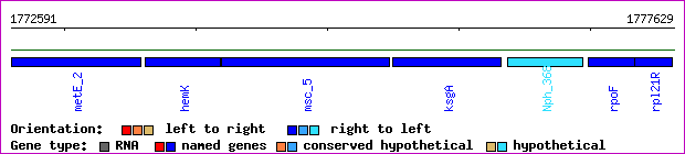 gene map