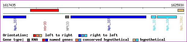 gene map