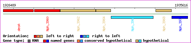 gene map