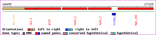 gene map
