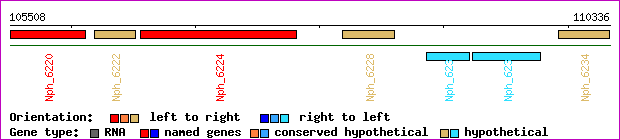 gene map
