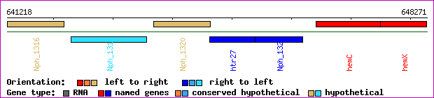 gene map