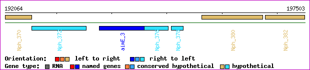 gene map