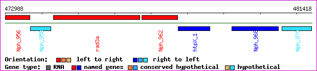 gene map