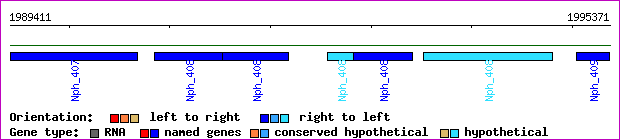 gene map