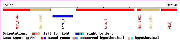 gene map
