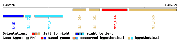gene map