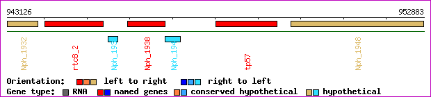 gene map