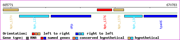 gene map
