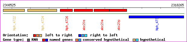 gene map