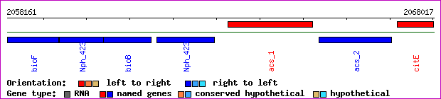 gene map