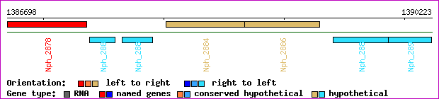 gene map