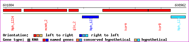 gene map