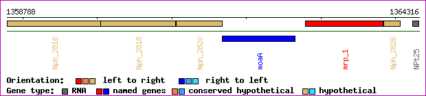 gene map
