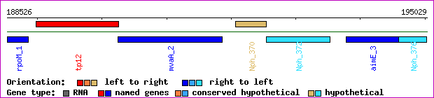 gene map