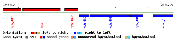 gene map