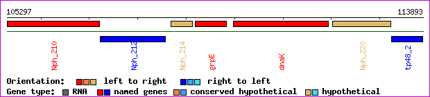 gene map