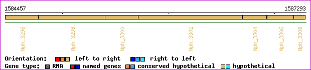 gene map