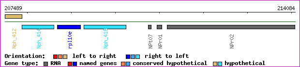gene map