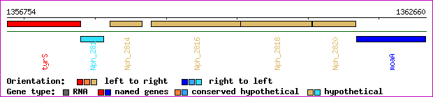 gene map