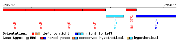 gene map