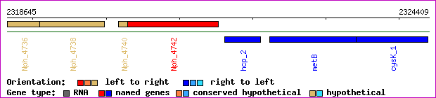 gene map