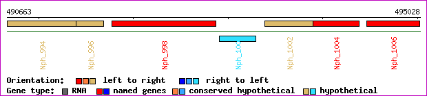 gene map