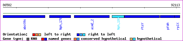 gene map