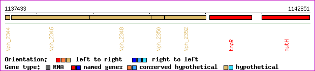 gene map