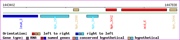 gene map