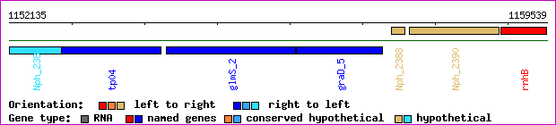 gene map