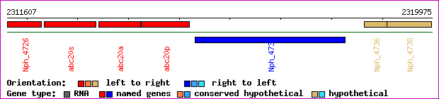 gene map