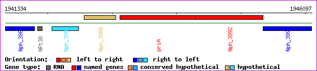 gene map