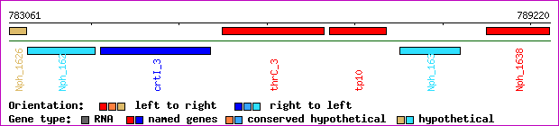 gene map
