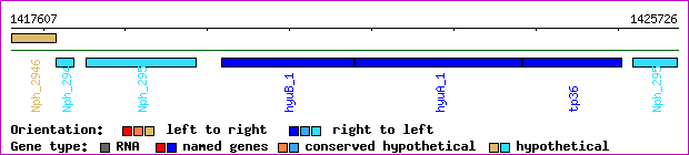 gene map